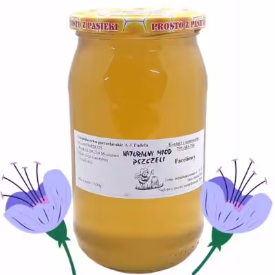 Naturalny Nektarowy Miód z Facelii z Mazowsza