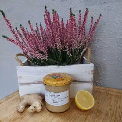 Miód z imbirem i cytryną - 400g z Mazowsza