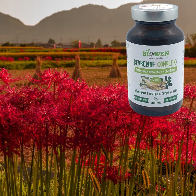 Biowen Berberine Complex+ 510 mg Naturalne wsparcie w kontroli cukru - obrazek 2