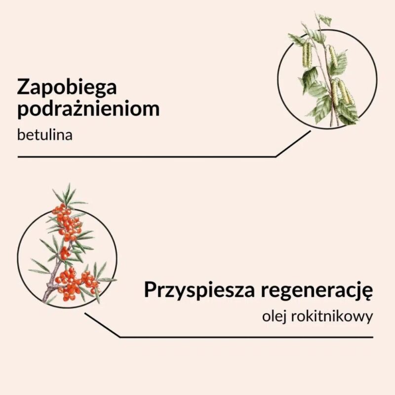 SYLVECO Rokitnikowa pomadka ochronna o zapachu cynamonu Chroni i regeneruje - obrazek 3