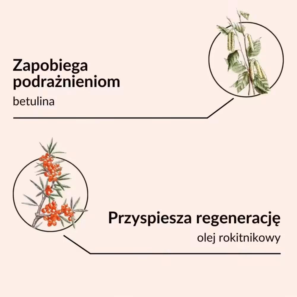 SYLVECO Rokitnikowa pomadka ochronna o zapachu cynamonu Chroni i regeneruje - obrazek 3