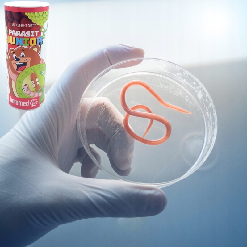 PARASIT Junior Zioła w kroplach na Pasożyty, Robaki i Owsiki 50ml Botamed - obrazek 2