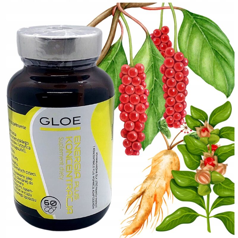 Adaptogen Energia plus Koncentracja 60kaps od GLOE Ekstrakt DER 10:1 100 mg