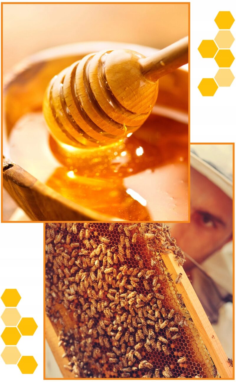 Naturalny Miód z propolisem kremowy 1100g Aż 5% propolisu Miód propolis - obrazek 2