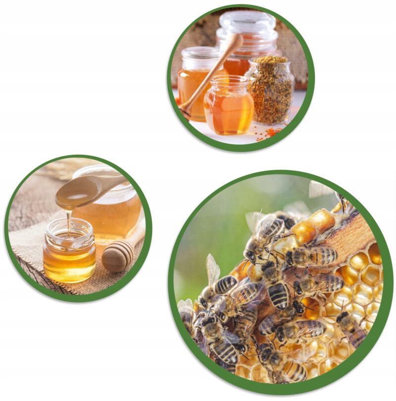 Naturalny Miód z propolisem kremowy 1100g Aż 5% propolisu Miód propolis - obrazek 3