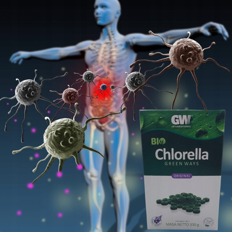 Chlorella Green Ways tabletki 1320 szt 330 g OCZYSZCZANIE Z METALI CIĘŻKICH - obrazek 3