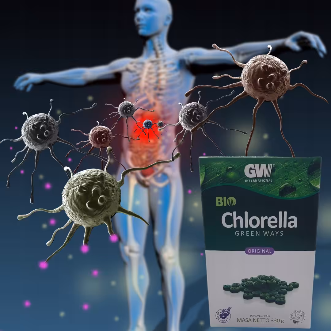 Chlorella Green Ways BIO - 440 tabletek, 110 g - obrazek 3