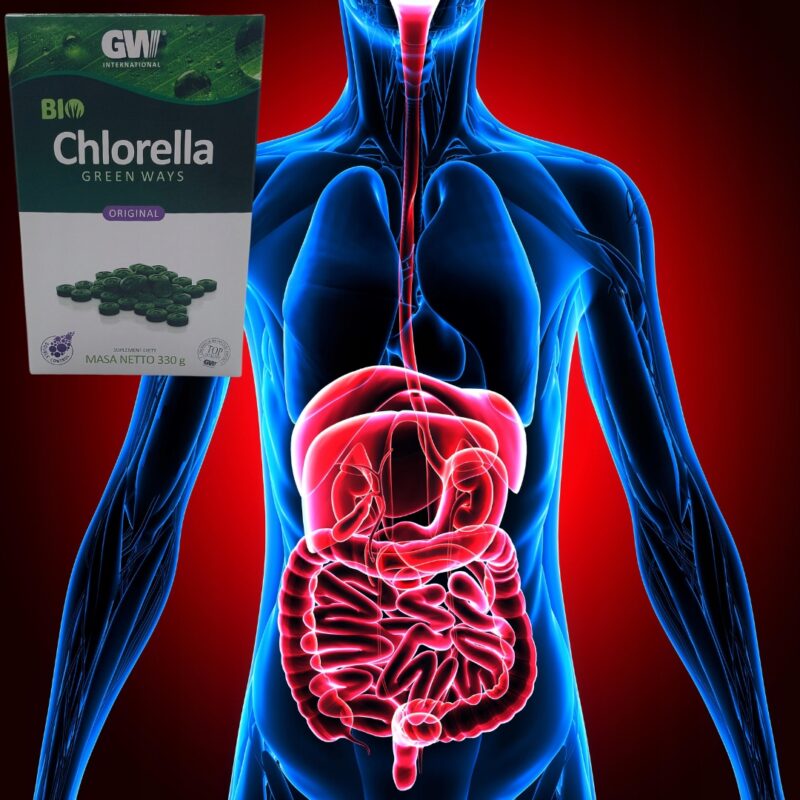 Chlorella Green Ways tabletki 1320 szt 330 g OCZYSZCZANIE Z METALI CIĘŻKICH - obrazek 4