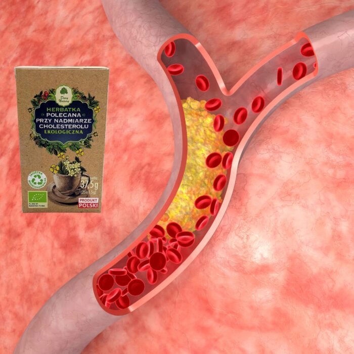Herbata na cholesterol Dary Natury 25szast herbatka ziolowa na cholesterol - obrazek 4