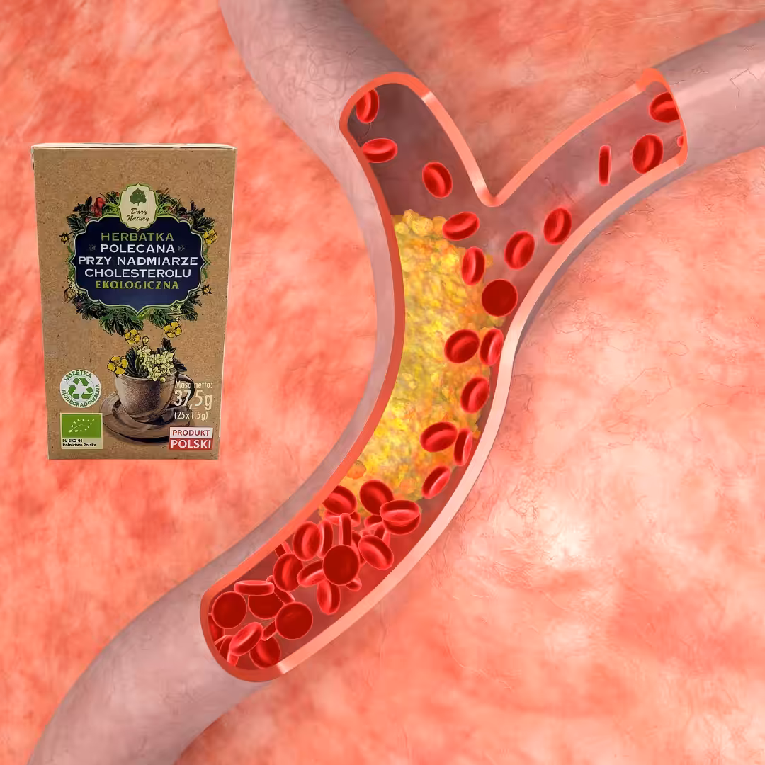 Herbata na cholesterol Dary Natury 25szast herbatka ziolowa na cholesterol - obrazek 4