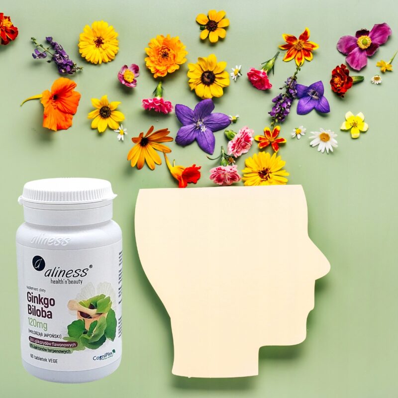 Aliness GINKGO BILOBA Miłorząb japoński 120 mg pamięci i koncentracja - obrazek 6