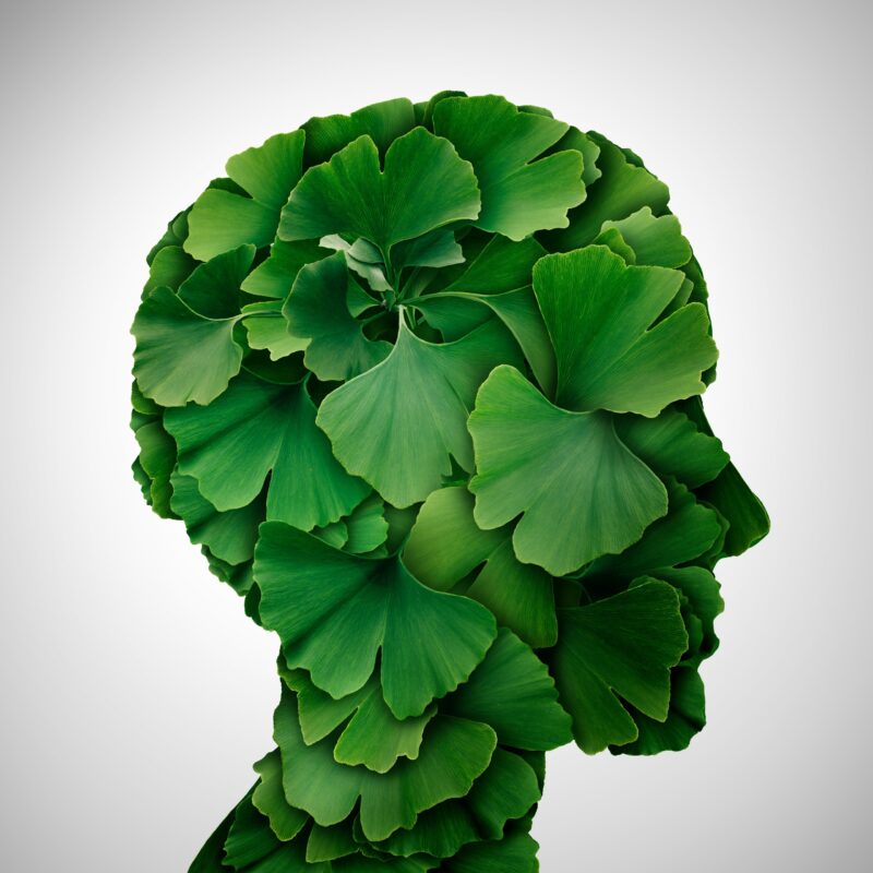 Aliness GINKGO BILOBA Miłorząb japoński 120 mg pamięci i koncentracja - obrazek 3