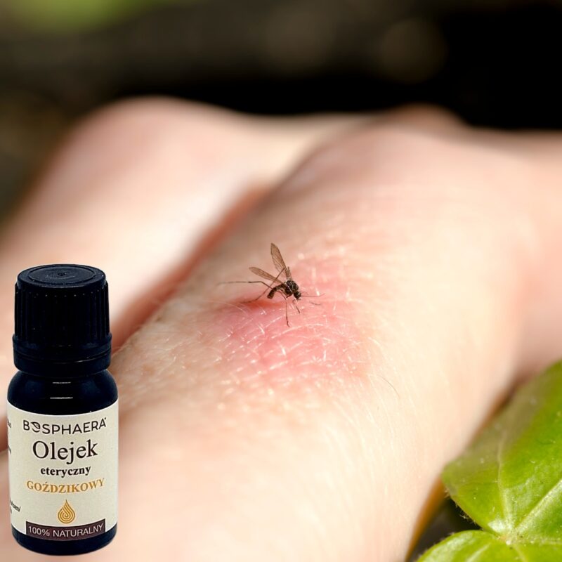 Olejek eteryczny goździkowy 10 ml BOSPHAERA olejek goździkowy na bol zęba - obrazek 3