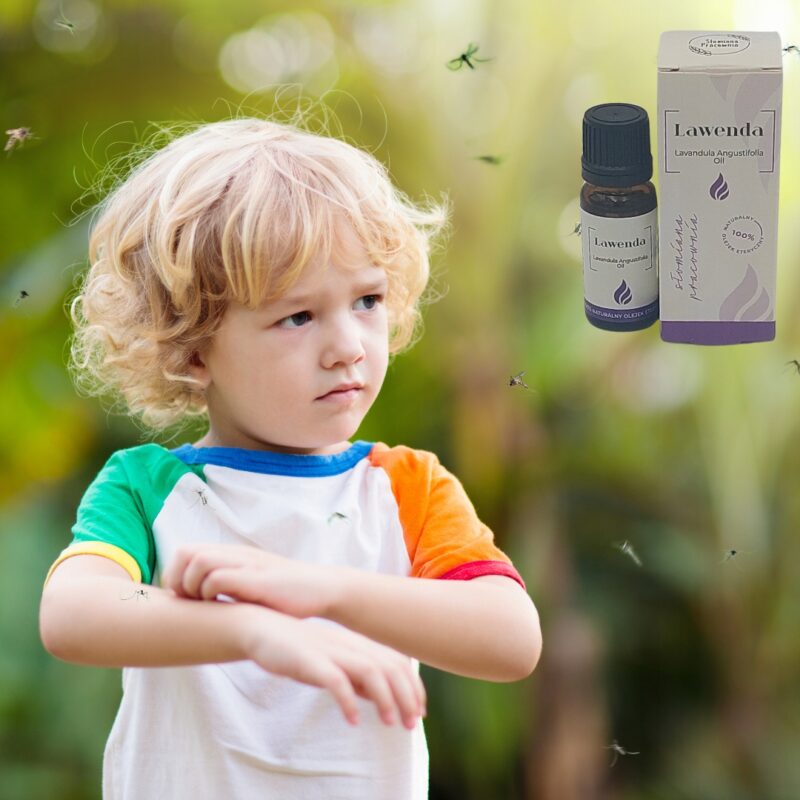 Olejek eteryczny lawendowy Słomiana Pracownia 10ml Regeneracja i lepszy sen - obrazek 5