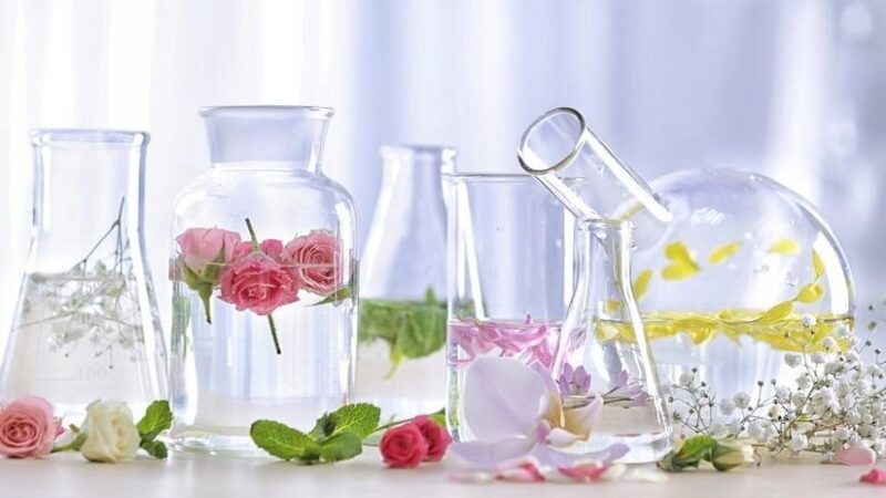 Nawilżający i łagodzący żel aloesowy do ciała, z ekologicznym hydrolatem - obrazek 7