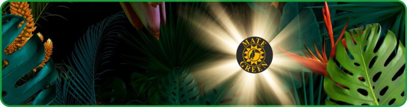 Yerba Mate Green Mas IQ Tropical 400g najlepsza owocowa MOC Tropików - obrazek 11
