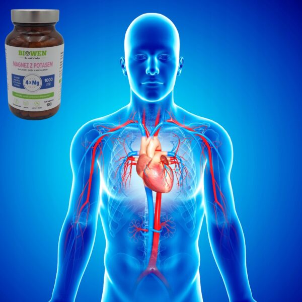 Biowen Magnez z potasem 1000 mg 4 formy magnezu cytrynian potasu 100 kaps - obrazek 5
