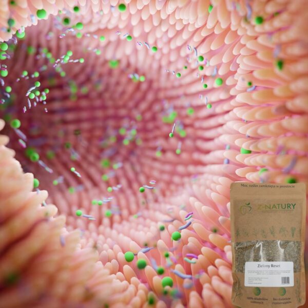 Melisa Tymianek - Zielony Reset, mieszanka ziół aromatycznych Z-Natury 250g - obrazek 4