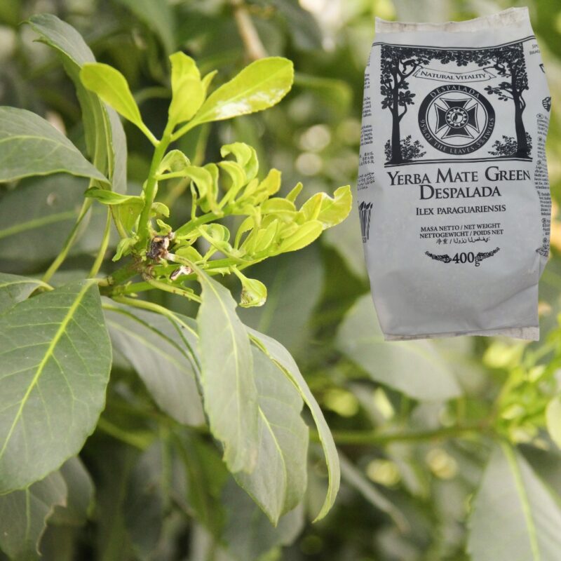 Yerba Mate Green DESPALADA 400g czysta forma natury, bez dymu i goryczy - obrazek 3