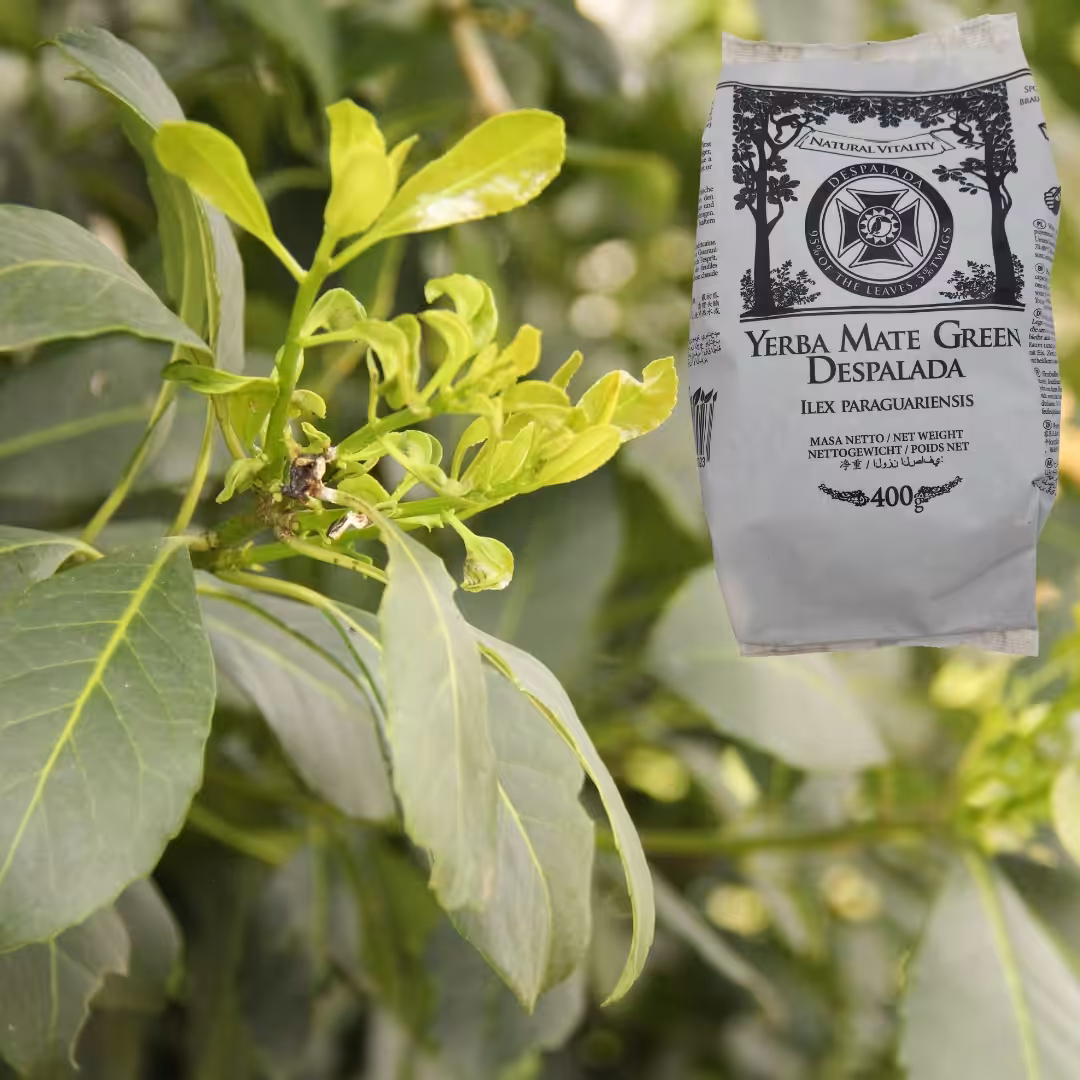 Yerba Mate Green DESPALADA 400g czysta forma natury, bez dymu i goryczy - obrazek 3