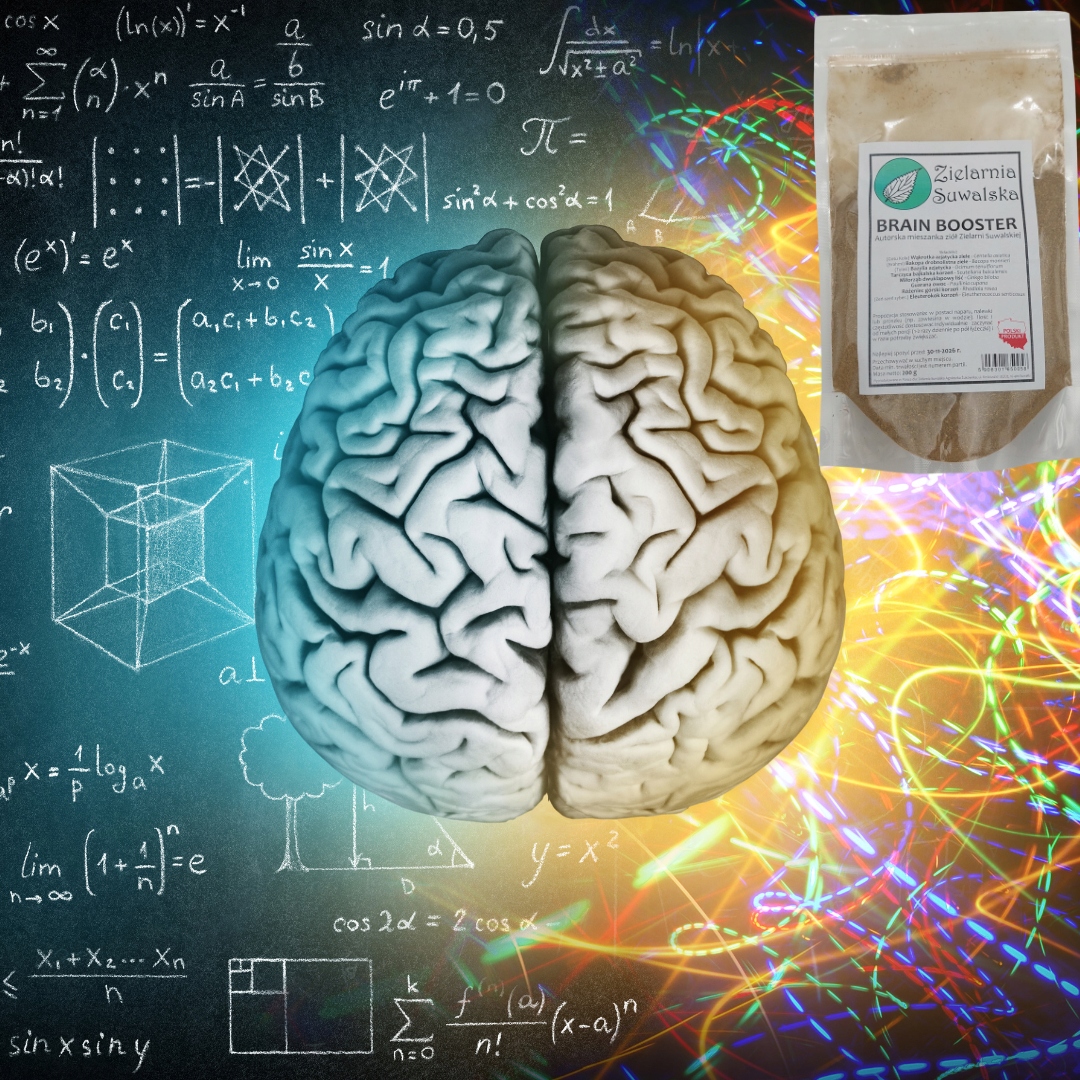 Brain Booster 200 g Zielarnia Suwalska autorska mieszanka ziołowa ziół - obrazek 2