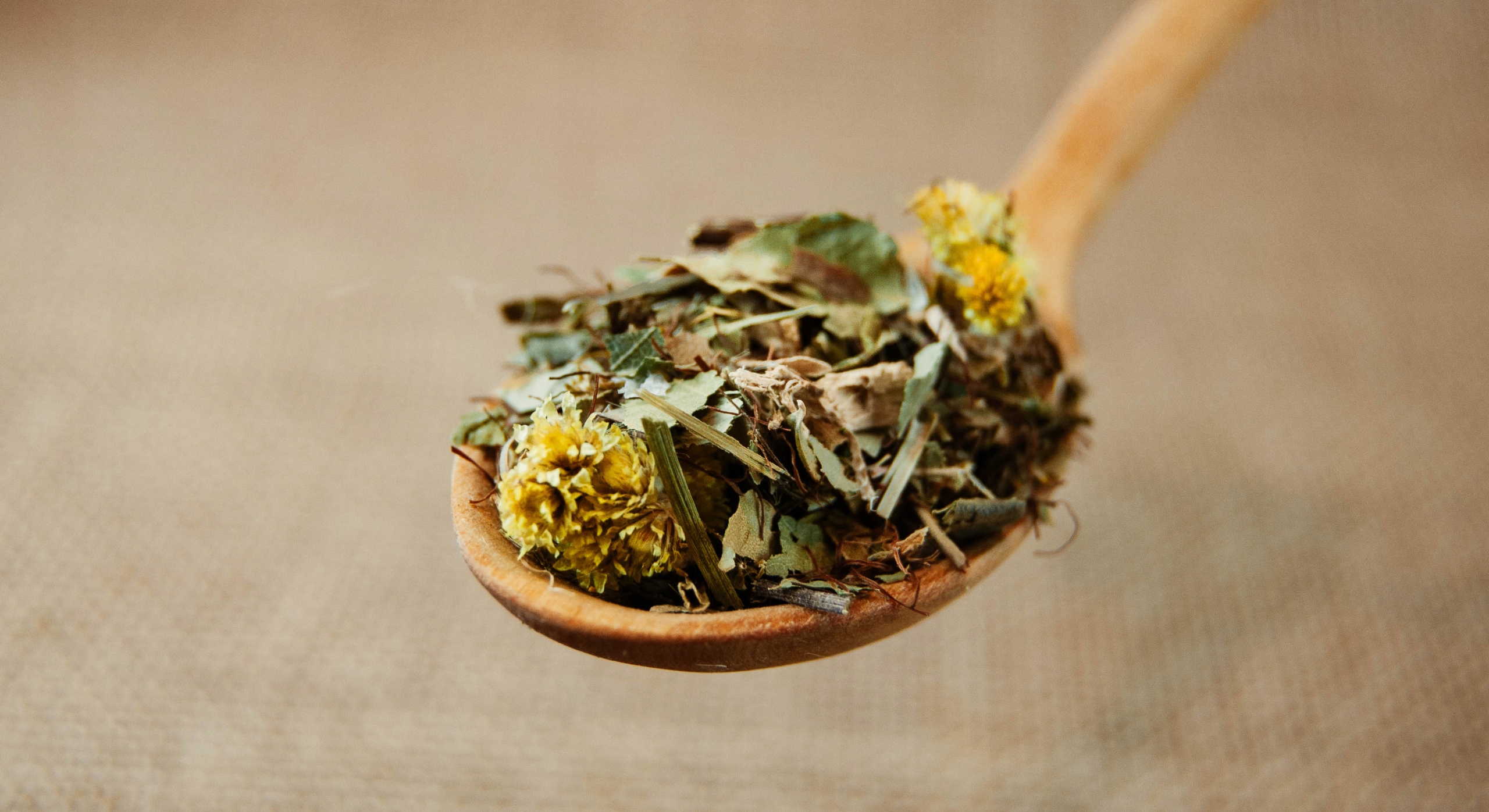 Mieszanka ziołowa Kam moczanowa Klimuszki Zielarnia Suwalska zioła 450 g - obrazek 6