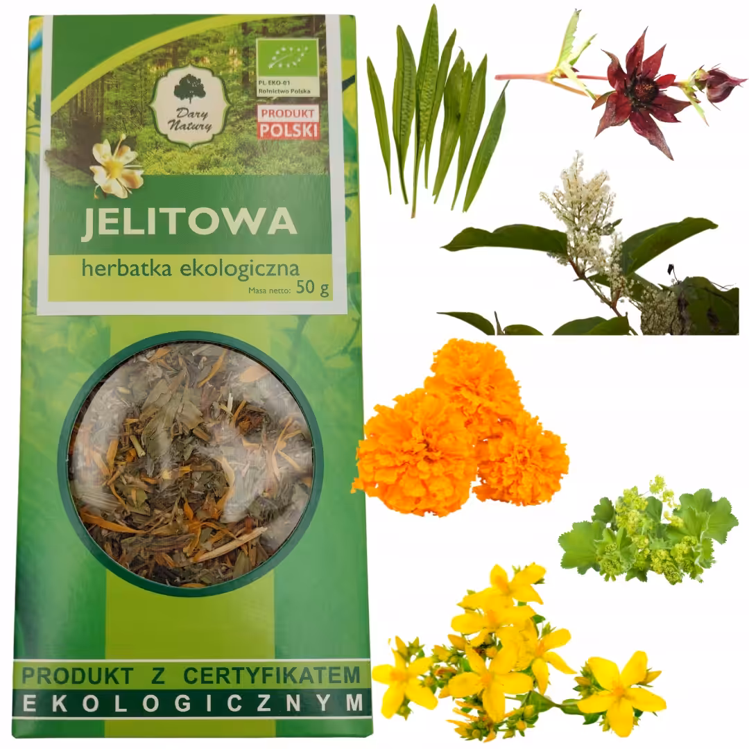 Dary Natury Herbatka Jelitowa 50g EKO wsparcie jelit i sprawnego trawienia