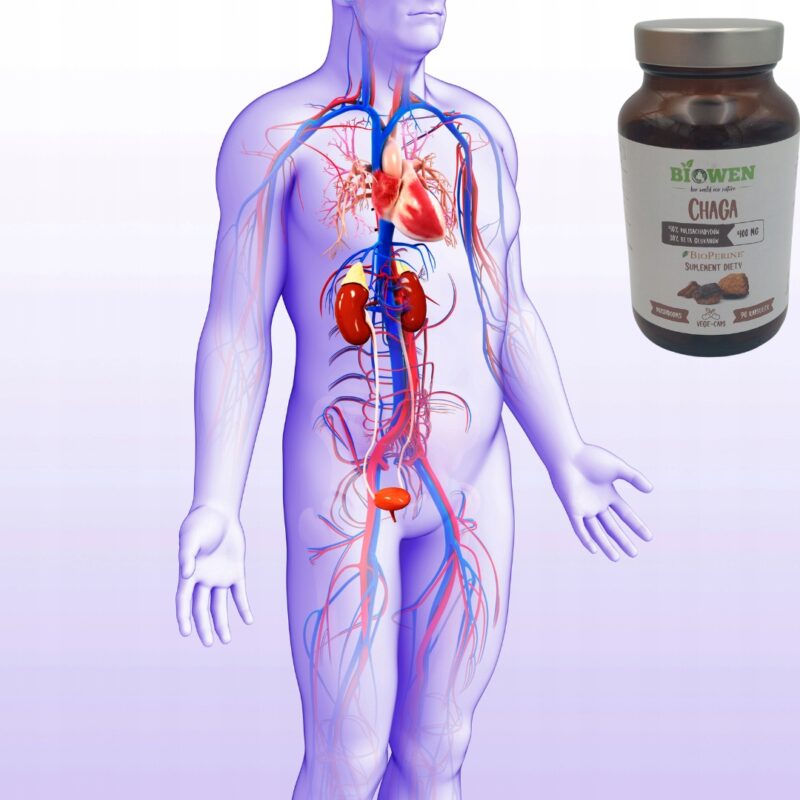 BIOWEN CHAGA huba brzozowa 400 mg, 90 kaps Grzyb Nieśmiertelności - obrazek 2