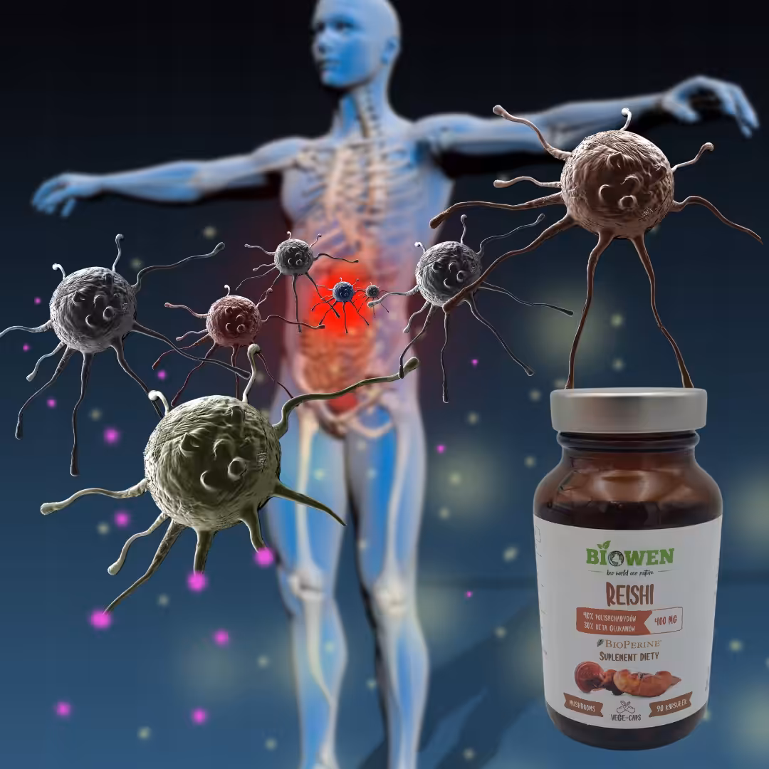 Biowen Reishi 400 mg 90 kaps - odporność, serce, energia, beta-glukany - obrazek 2