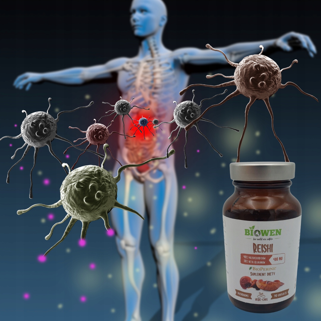 Biowen Reishi 400 mg 90 kaps - odporność, serce, energia, beta-glukany - obrazek 2