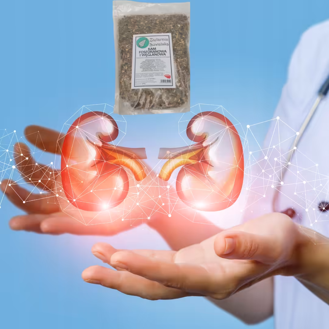 Zielarnia Suwalska Kam Fosforanowa i Węglanowa 500g wg Klimuszki - obrazek 2