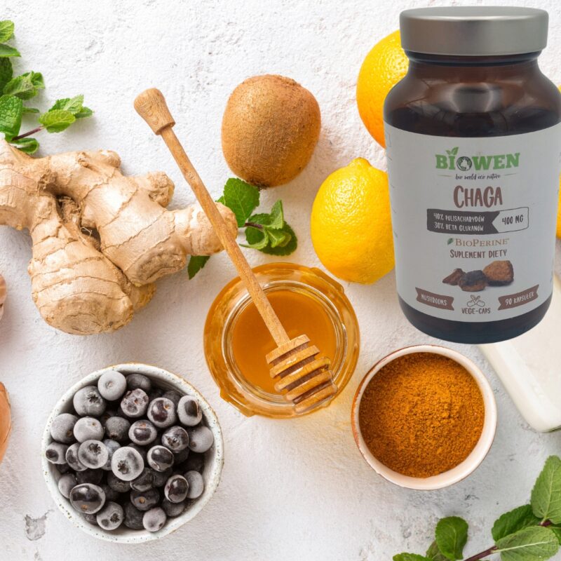 BIOWEN CHAGA huba brzozowa 400 mg, 90 kaps Grzyb Nieśmiertelności - obrazek 3
