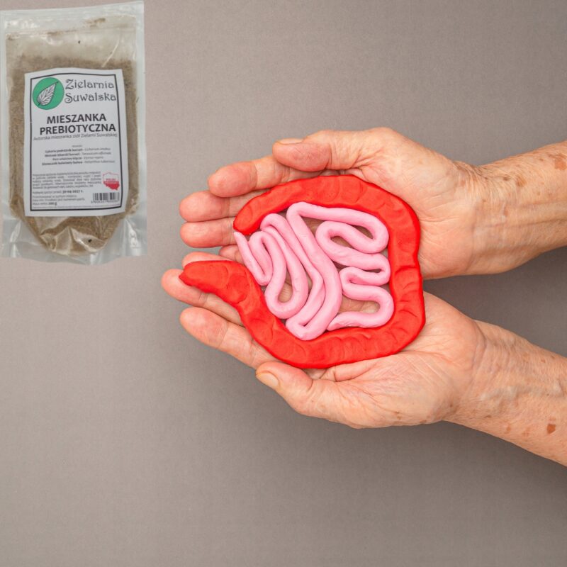 Mieszanka Prebiotyczna 200g | Na jelita i mikroflorę | Błonnik, inulina - obrazek 2