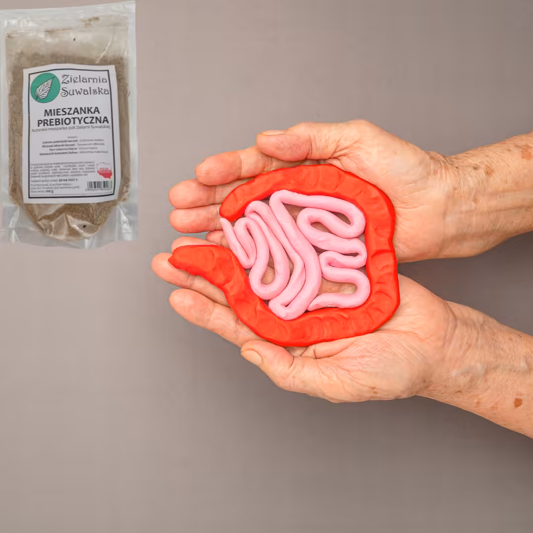 Mieszanka Prebiotyczna 200g | Na jelita i mikroflorę | Błonnik, inulina - obrazek 2