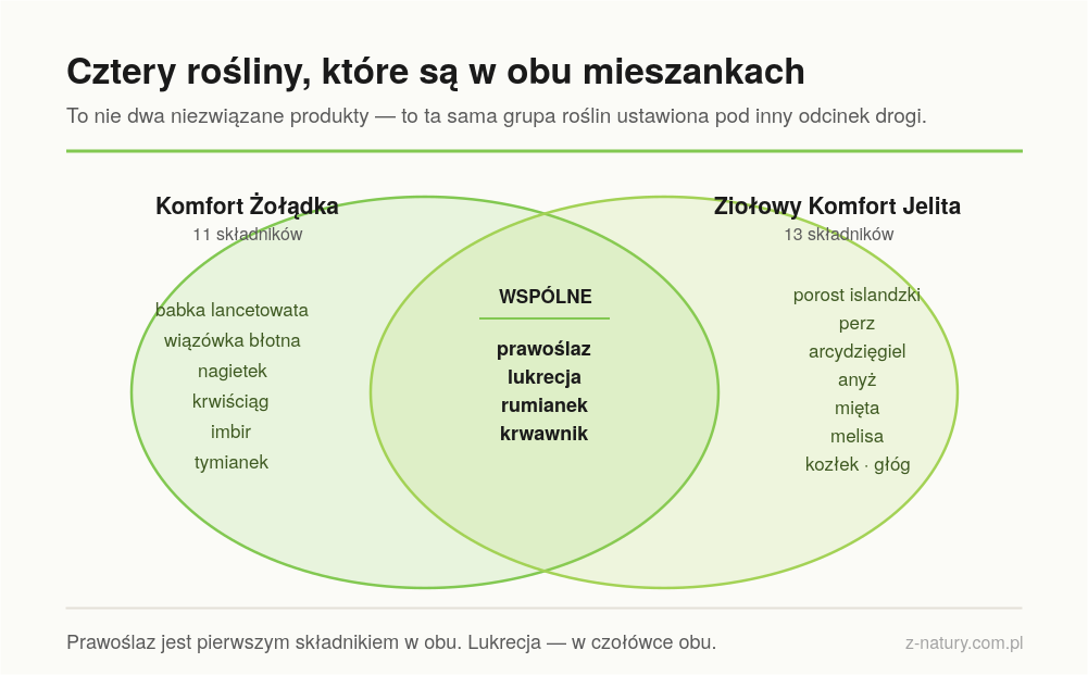 „Wspólne rośliny w mieszankach na żołądek i na jelita — prawoślaz, lukrecja, rumianek, krwawnik”